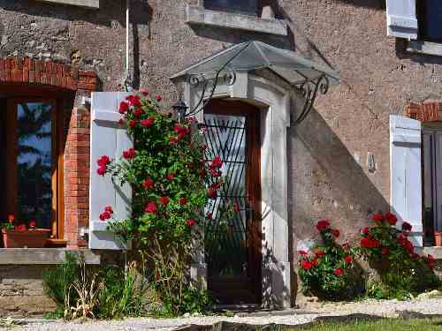 Roses, tulips, narcises, entrance